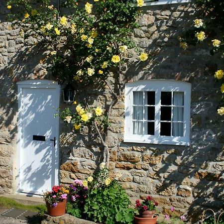 The Cottage Abbotsbury Ngoại thất bức ảnh